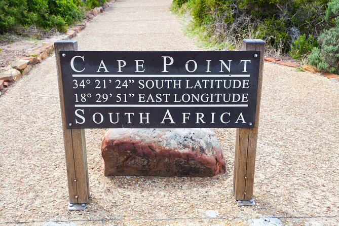 Private Table Mountain Penguins & Cape Point Tour from Cape Town - Table Mountain cable car: where the day starts