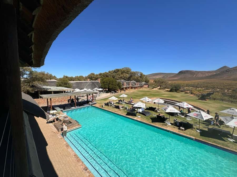 Private Tour: Big 5 Safari, Experience the wild animals - The open-vehicle game drive at Aquila, where you do the real spotting