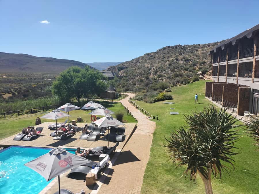 Private Tour: Big 5 Safari, Experience the wild animals - Door-to-door pickup from Cape Town and nearby wine towns