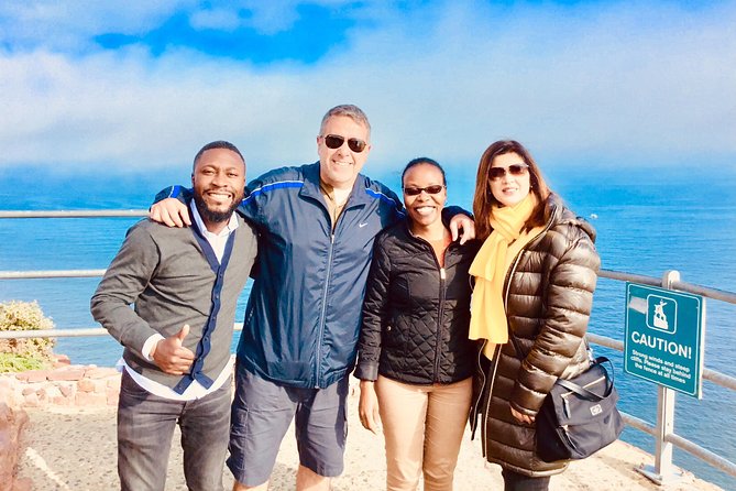 Private Tour: Boulders Beach Penguin Colony and Cape of Good Hope - Cape Point Ostrich Farm: quick animal time, extra cost