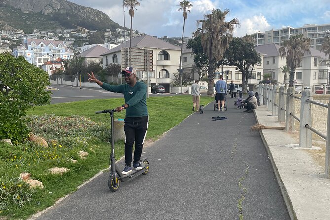 Private Tour:Cape of Good Hop>Seal island>Chapman’speak &Penguins - Boulders Beach Penguin Colony: close-up African penguins on the boardwalk