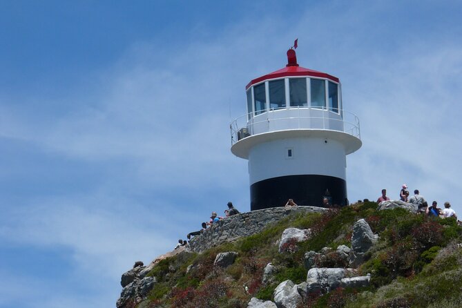 Private Tour: Cape of Good Hope, Cape point and Boulders Beach - Private Cape Peninsula Tour With Pickup, Your Party Only