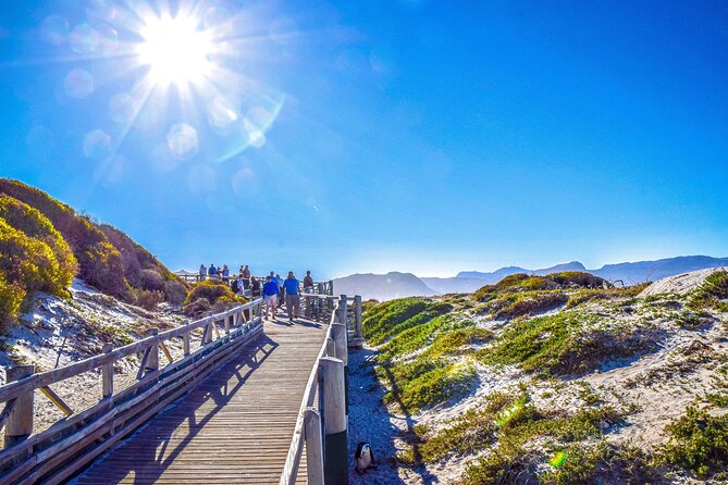 Private Tour: Cape of Good Hope, Cape point and Boulders Beach - Cape of Good Hope in the Nature Reserve: The Part You Budget For