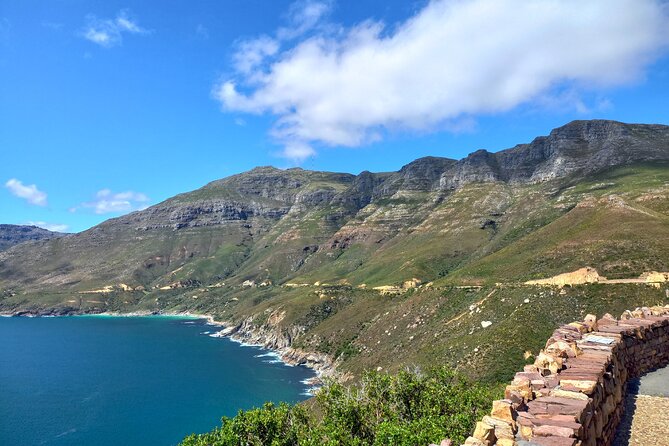 Private Tour: Cape of Good Hope, Cape point and Boulders Beach - Boulders Beach Penguin Colony: The Meters-From-Memory Moment