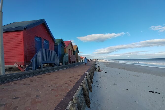 Private Tour : Cape of Good Hope,Penguin Colony& Muizenberg Beach - Boulders Beach Penguin Colony: The Walk That Feels Like a Shortcut to Wonder
