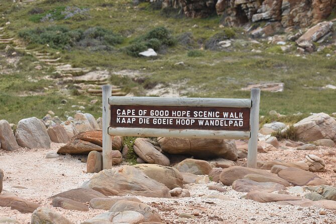 Private Tour Cape of Good Hope & Penguins Sightseeing Full day - Hout Bay and the Seal Island boat trip, optional but memorable