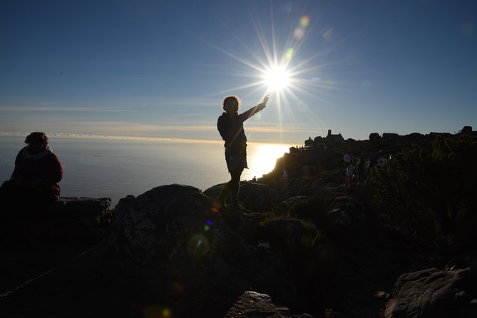Private Tour: Cape Of Good Hope & Wine Tasting - Price and What You Actually Pay