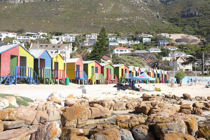 Private Tour: Cape Of Good Hope & Wine Tasting - Llandudno, Camps Bay, and the Table Mountain Photo Chain