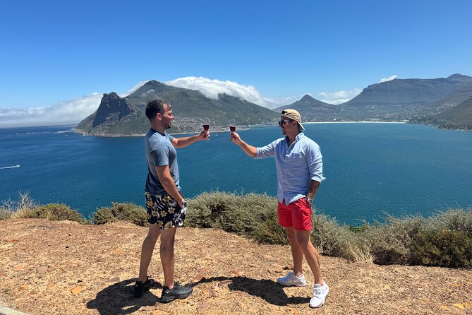Private Tour: Cape Peninsula & Penguin Beach, Cape Point & more - How a Private Cape Peninsula Day Feels Different