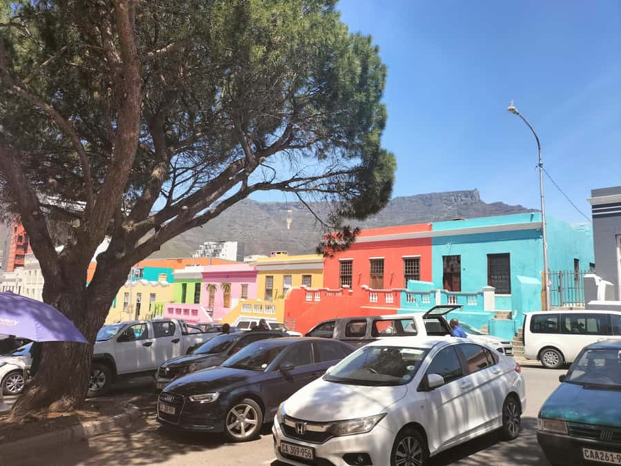 Private Tour:Cape Peninsula &Penguin Beach, Cape Point &more - What the guide experience means for your day (and why it came up)