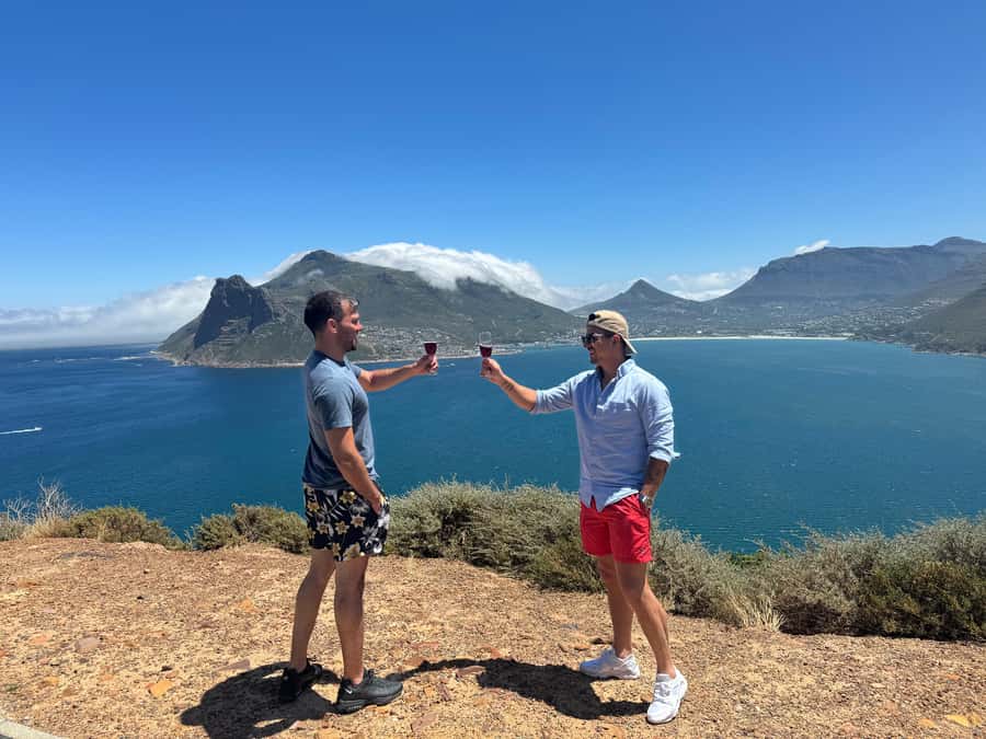 Private Tour: Cape Point, Penguins, Chapmans Peak & more... - Key highlights that make this tour click
