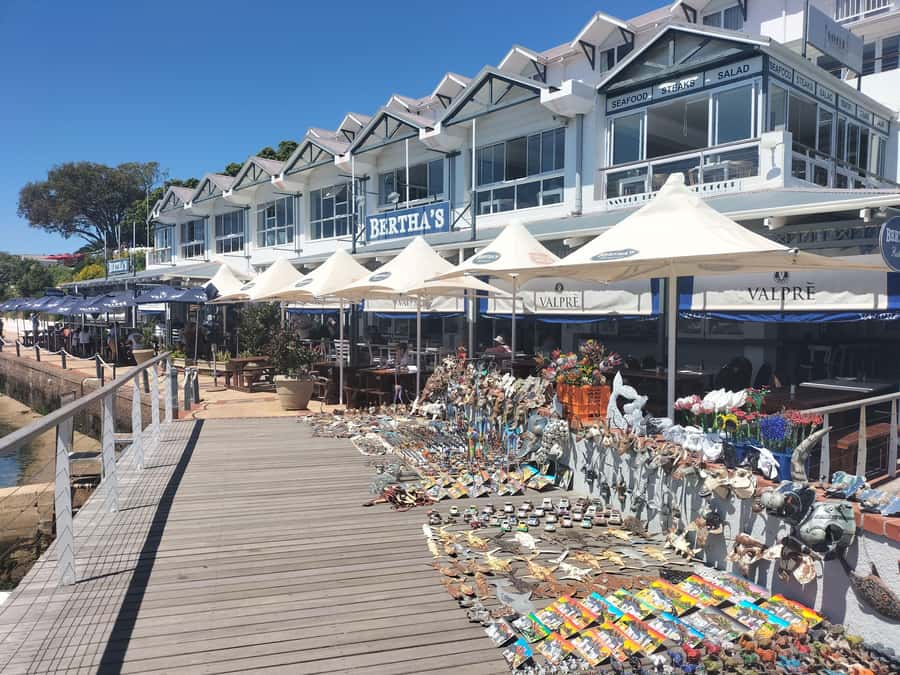 Private Tour: Cape Point, Penguins, Chapmans Peak & more... - Price and logistics: what $308 covers, and what it does not