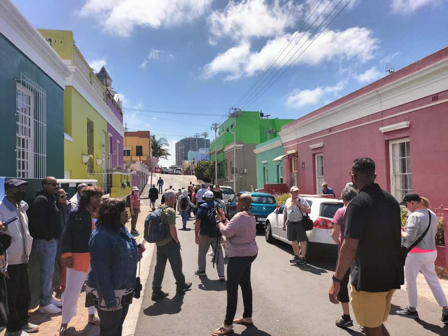 Private Tour: Cape Point, Penguins, Chapmans Peak & more... - A Private 8-hour route built for maximum Cape Peninsula time