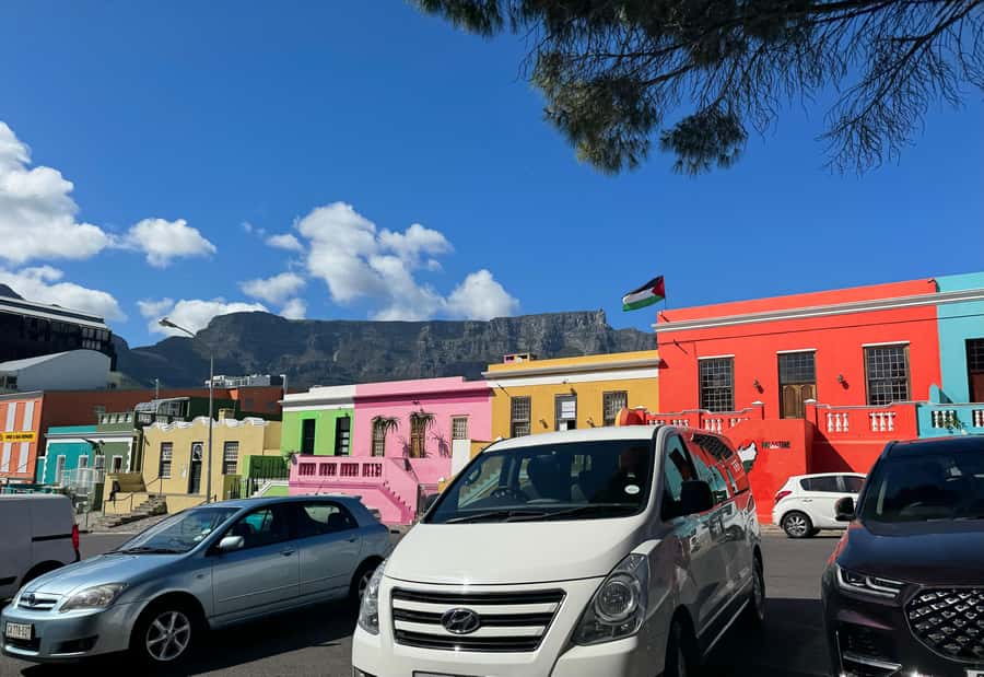 Private Tour: Cape Point, Penguins, Chapmans Peak & more... - Hout Bay and the Seal Island option: wildlife time without the full commitment