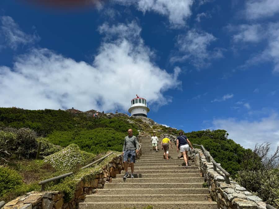 Private Tour: Cape Point, Penguins, Chapmans Peak & more... - Bo-Kaap and Signal Hill: Cape Town’s mood in two quick stops