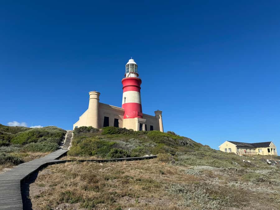 Private Tour: Cape Town to Cape Agulhas where 2 Oceans Meet - The Scenic Route from Cape Town, Gordon’s Bay and Clarence Drive Views