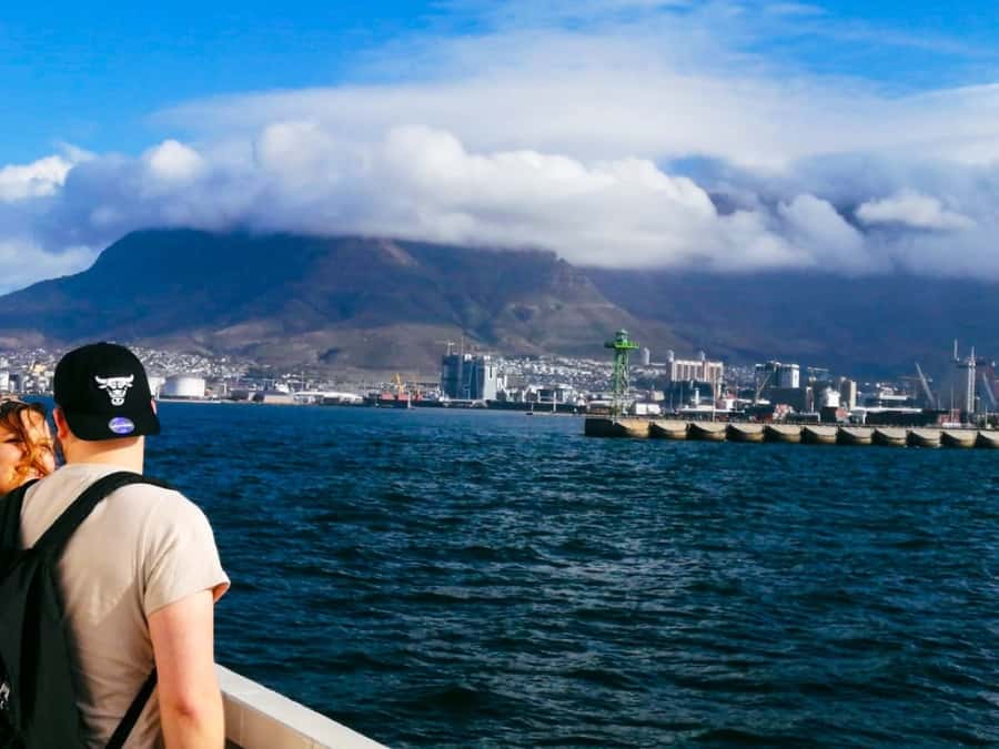 Private Tour from CapeTown to Cape of Good hope & cape point - Boulders Beach penguin cottage: the main wildlife payoff