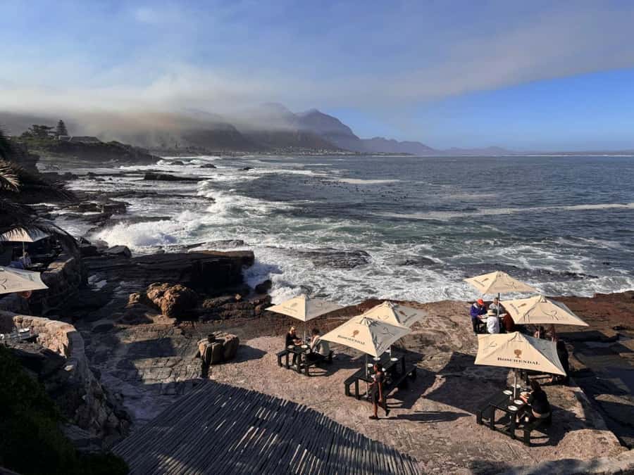 Private Tour: Hermanus- Boat Based Whale Watching Experience - Should you book this Hermanus whale watching day?