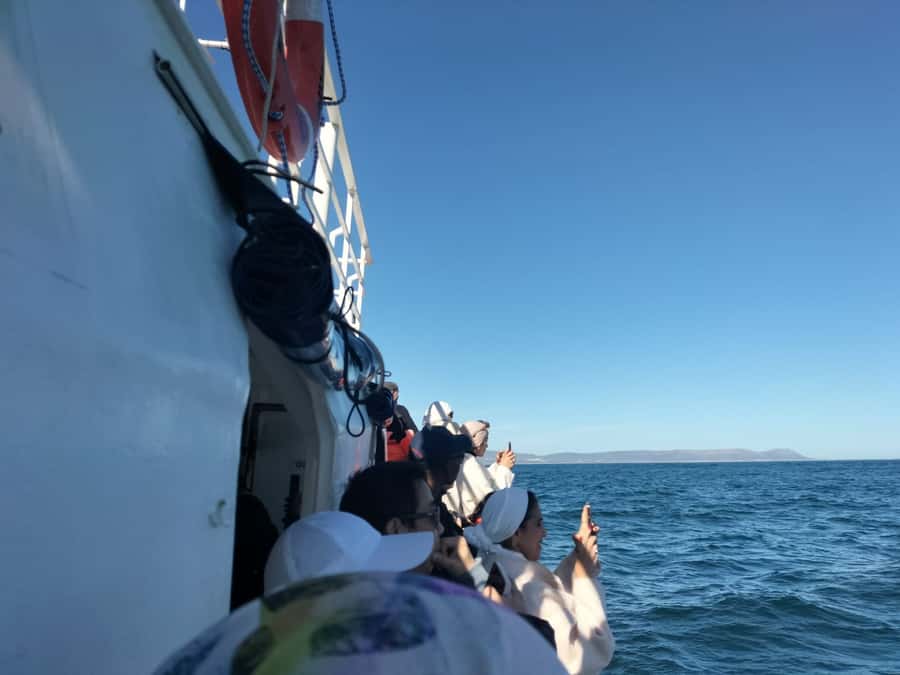 Private Tour: Hermanus- Boat Based Whale Watching Experience - From Cape Town to Hermanus: coastal drive, Clarence Drive, and False Bay light