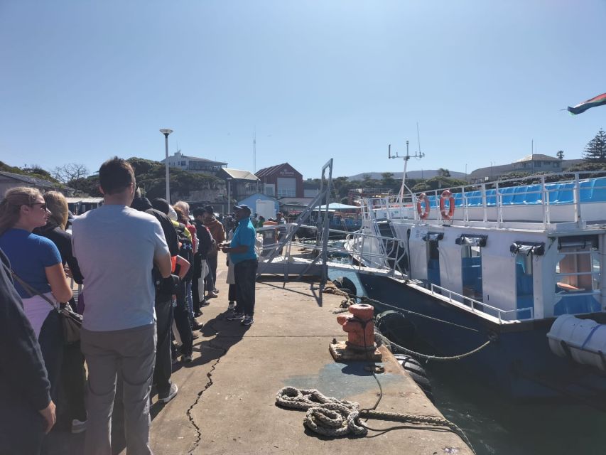 Private Tour: Hermanus- Boat Based Whale Watching Experience - The shared boat whale watching: what to expect on the water