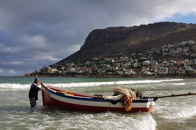 Private Tour Of Penguins, Cape Of Good Hope & Peninsula. - Who this private Cape Peninsula tour fits best
