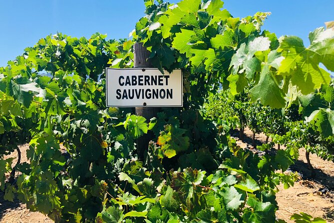 Private Tour of Top 5 Stellenbosch Wineries From Cape Town - How this Stellenbosch winelands day works from Cape Town