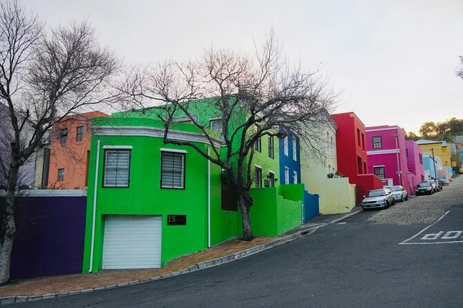 Private Tour: Penguins, Cape Point and Cape of Good Hope - A smart, scenic route from Bo-Kaap to Boulders Beach