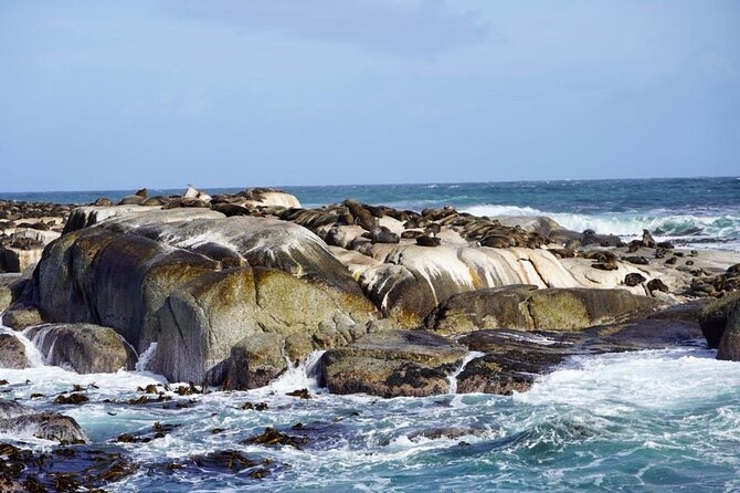 Private Tour: Penguins, Cape Point and Cape of Good Hope - Chapman’s Peak Drive: where you stop for the wow shot