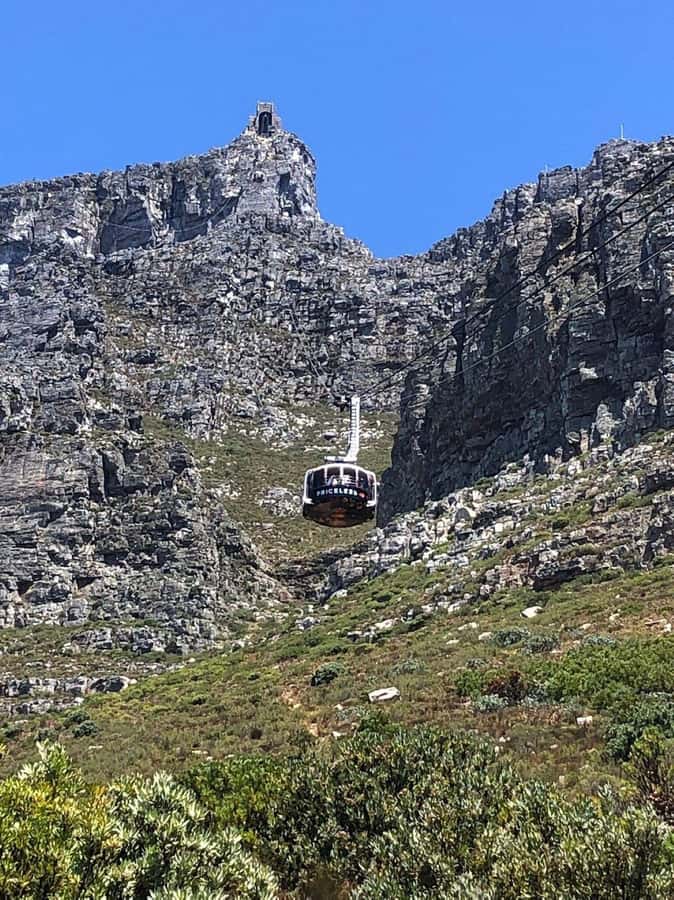 Private Tour: Robben Island, City Tour and Table Mountain - Who this tour suits best