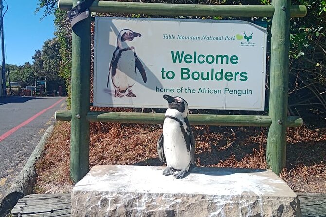 Private Tour: Table Mountain Boulder's Beach Penguin Cape Point - Cape Point Nature Reserve: big park, rare plants, and lighthouse views