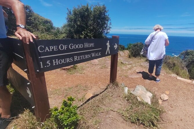 Private Tour:,Table Mountain ,Cape of Good hope & Penguins colony - Chapmans Peak Drive, The Road That Feels Like a Viewpoint Tour