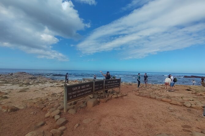 Private Tour:,Table Mountain ,Cape of Good hope & Penguins colony - Boulders Beach Penguin Colony, Watching Habits Up Close