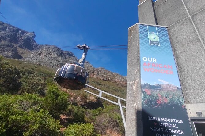Private Tour:,Table Mountain ,Cape of Good hope & Penguins colony - Price and What You Actually Get for $200 Per Person