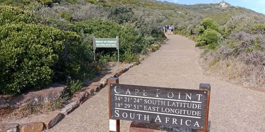 Private Tour: Table Mountain, Penguins Colony & Cape Of Good - Table Mountain cable car and the guided hour up top
