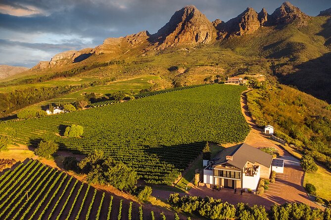 Private Tour to 20 Wine Tasting in Stellenbosch and Franschhoek - Private 20-Wine Route: What You Get From the “Private” Part