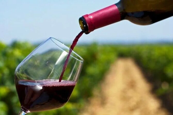 Private Tour to 20 Wine Tasting in Stellenbosch and Franschhoek - Delaire Graff Estate: Luxury Tastings and Photo-Ready Views