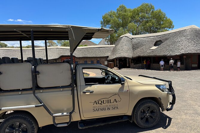 Private Tour to Aquila Game Reserve in Cape Town - see the Big5 - Key things to know before you go to Aquila