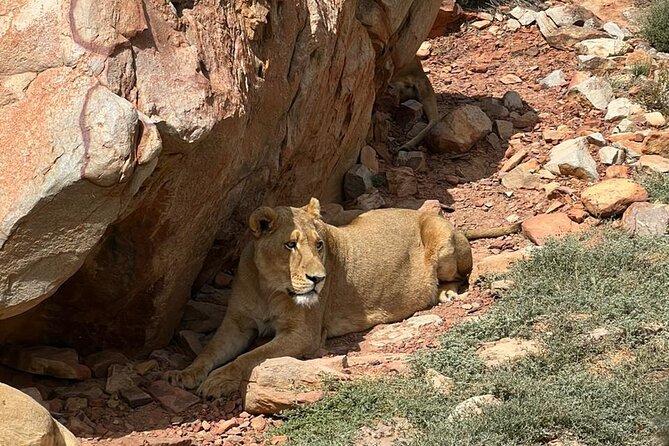 Private Tour to Aquila Game Reserve in Cape Town - see the Big5 - The Du Toitskloof route and The Tunnel, why the drive matters