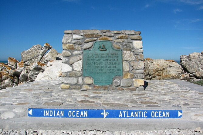 Private Tour to Cape Agulhas Full Day from Cape Town - Stony Point Nature Reserve Penguin Stop: An Included Hour With Real Wildlife Payoff