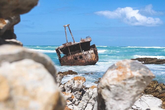 Private Tour to Cape Agulhas Full Day from Cape Town - Price and Logistics: The Long Day Reality (and How to Make It Enjoyable)