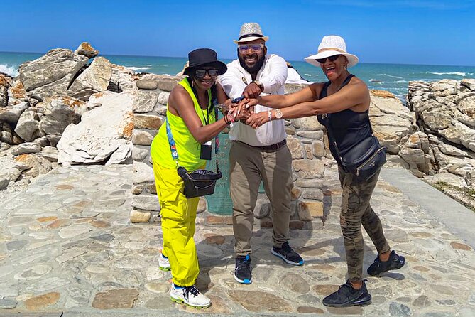 Private Tour to Cape Agulhas Full Day from Cape Town - Who Should Book This Tour, and Who Might Prefer Another Style