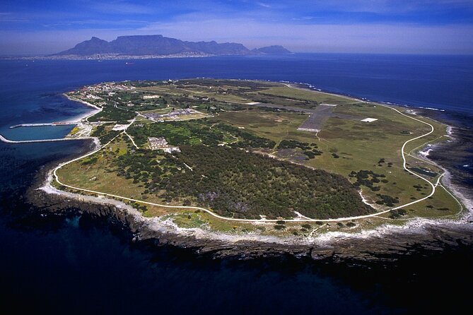 Private tour to Robben Island Kirstenbosch and Constantia Winery - Kirstenbosch Botanical Garden: Table Mountain slopes, 9,000 plant species