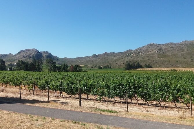 Private Tour To Stellenbosch Franschoek Wineries from Cape Town Price Per Group - Mandela’s Last Prison and the Rock-Sight Viewpoints