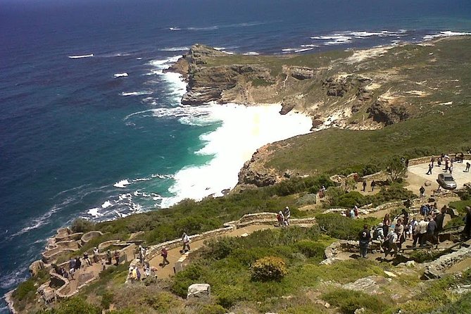 Private Tour with Wine Expert to Cape of Good Hope & Constantia Wine Region - Price and Value: What You Are Paying For