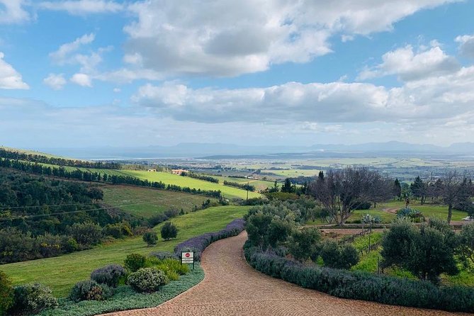 Private Tours in Cape Town - Stellenbosch wine route for a slower, scenic finish