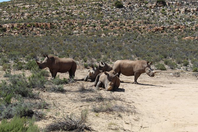 Private Transfer to Safari Big 5 at Aquila from Cape Town Excluding Entry Fees - The Cape Town to Aquila drive on the N1 freeway (and what you’ll see)