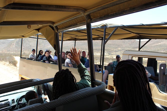 Private Transfer to Safari Big 5 at Aquila from Cape Town Excluding Entry Fees - Guide experience and the human side that improves safety