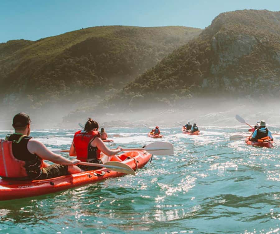Private Tsitsikamma Tour - Full Day - Key things you’ll love about this Tsitsikamma day