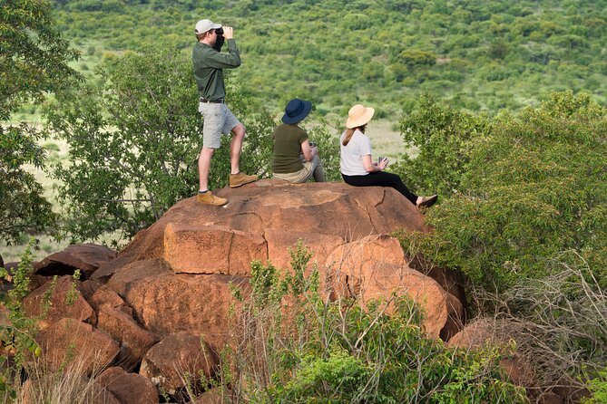 Private Ultimate Pilanesberg Safari from Johannesburg - Key Things To Know Before You Go