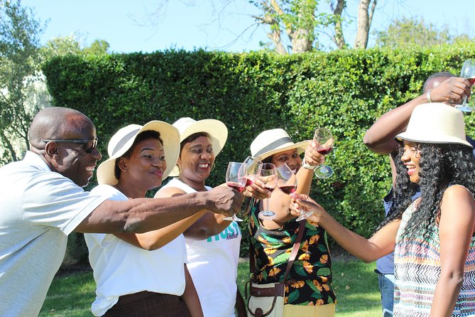 Private Visit to the Wineries Stellenbosch Franschoek from Cape Town Full Day - Key Highlights You Can Actually Use